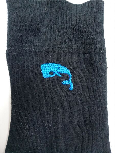 Fichier:Sock test3.jpg