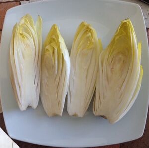 Endives crues.JPG
