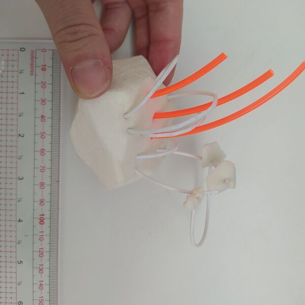 Fichier:IMG 20250711 113908.jpg