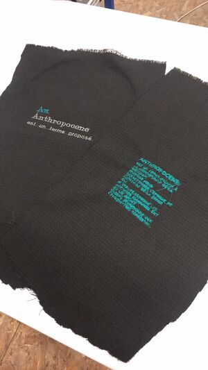 Test broderie.jpg