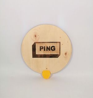 Ping patte.jpg