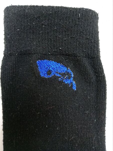 Fichier:Sock test1.jpg