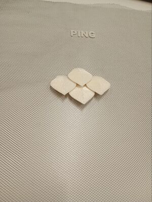 Quatre écailles et le texte "PING" imprimés en 3D en PLA blanc sur du tulle noir.