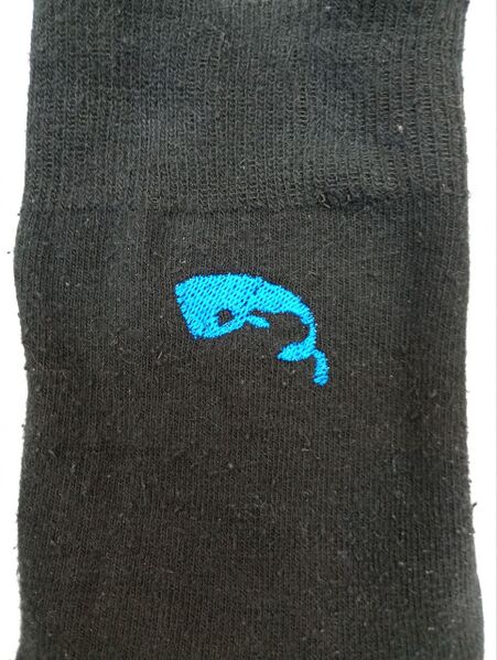 Fichier:Sock test4.jpg