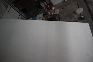 IMG 7207.JPG