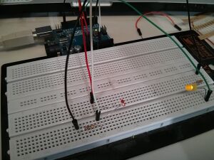 Circuit-coxy.jpg
