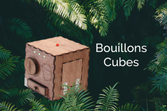 Bouillons-cubes.png